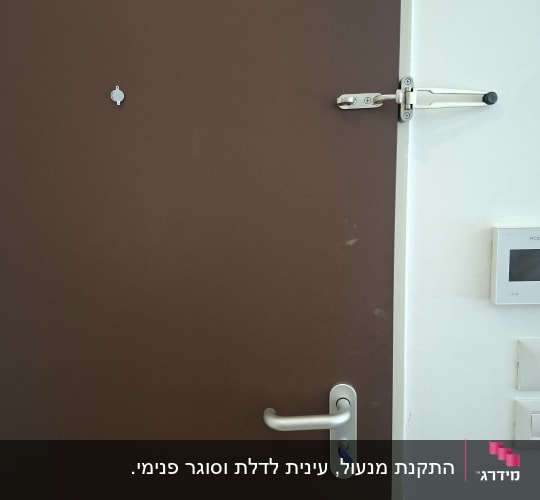 דלת חום עם ידית, צילינדר מנעול וזרוע ביטחון